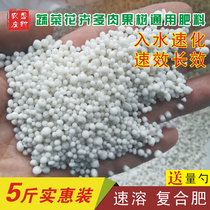 Compound fertilizer Vegetable green plant potted plant flower vegetable Fruit tree flower urea organic fertilizer Potassium sulphate universal flower fertilizer