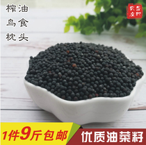 Sichuan farmers self-seed rapeseed oil raw materials bird food small particles parrot feed rapeseed 9 pounds