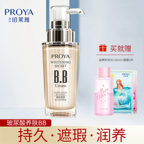 Peleya white muscle dense super model BB cream nude makeup concealer strong white moisturizing long-lasting non-makeup liquid foundation