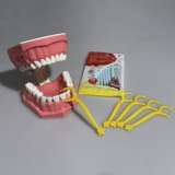 Детская портативная зубная нить, детская одежда, защита от кариеса