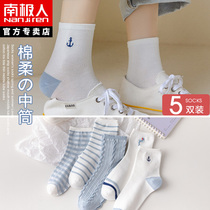 Antarctic socks female ins tide spring and autumn cotton stockings autumn and winter white cartoon girl student cotton socks