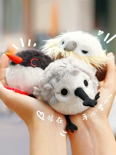 Pop Natural Mini 波 波 波 波 波 波