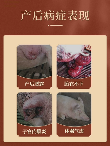 Ветеринарные препараты китайских животных приносят пользу биохимическим зверям мать биохимические звери для скота с медициной свиньи и овец, добавок, Sow So Sow после родов для устранения воспалительных и послеродовых медицинских услуг