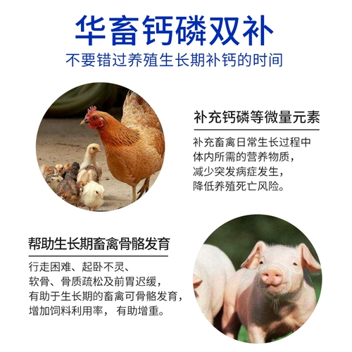 Китайский животноводческий кальциевый фосфор Скорость Тоник Тоник Добавление водорода фосфата, свиньи, крупного рогатого скота, добавок для кормов для овец, цыплят для птицы с добавками кальция, фосфор, фосфор