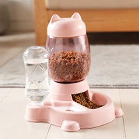 Классический фанат