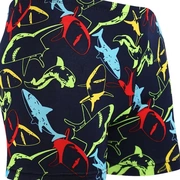 Mới xuất sắc 2017 quần bơi nam mới boxer in quần short kích thước lớn nam thoải mái bơi mùa xuân đi biển - Nam bơi đầm