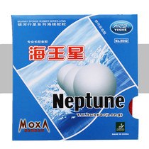 Galaxy YINHE Neptune table tennis rubber long rubber set rubber easy to control arc table tennis racket rubber