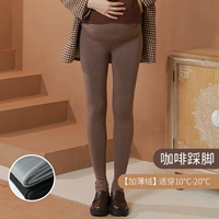 [Новый плюс тонкий бархат подходит для 10 ° C до 20 ° C] Кофейный цвет, ступающий на ноги