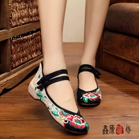 Низкий черный пион цветок