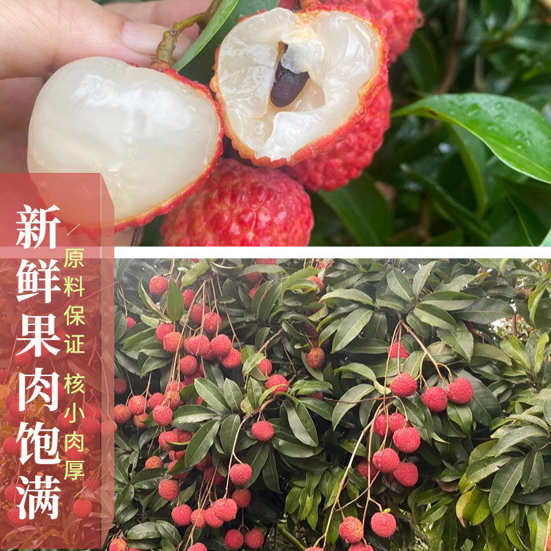 2023特级干荔枝小核肉厚泡茶荔枝肉，广东高州糯米荔枝的魅力何在？-荔枝干-淘宝好物网
