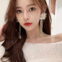 Flower tassel earrings womens 2019 new fashion net red temperament long face thin earrings S925 silver needle ear jewelry