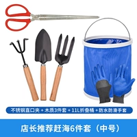 [Необходимо выбрать, чтобы поймать море] набор из 6 частей, бросающих море во время праздников (средний размер)