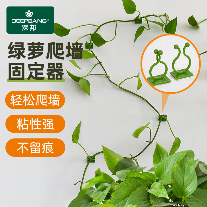 Climbing Rose Vine Fastener Clip, Green Plant Climbing Tool, Wall Climbing Plant Clamp Hook, Sticky Climbing Vine Pole