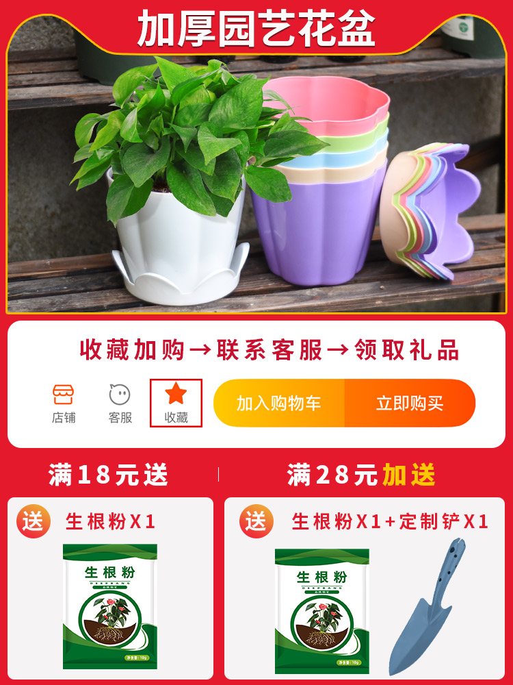 Large thickened plastic flower fleshy flower pot Home gardening species Strawberry golden Ge tray flower pot Nordic simple