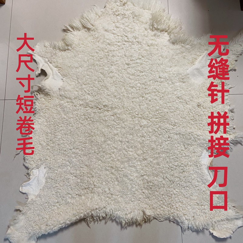 Inner Mongolia Whole Sheep Fur Integrated Carpet Pure Wool Blanket Sofa Cushion Fur Integrated Seat Cushion Bedside Leather Mattress