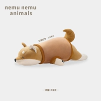 【お 小 【】 xiao tai shiba inu