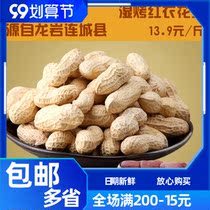 Longyan peanut wet roasted crispy peanut four grains of red garlic Liancheng specialty with shell peanut 500g