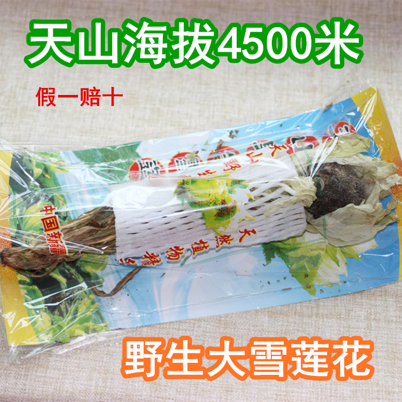 2 Buy 5 send 1 Xinjiang Tianshan Great Snow Lotus Altitude 4000 Meters Xinjiang Snow Lotus Wild Great Snow Lotus