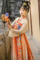 Shanhai Ping 襦+Qi сундук