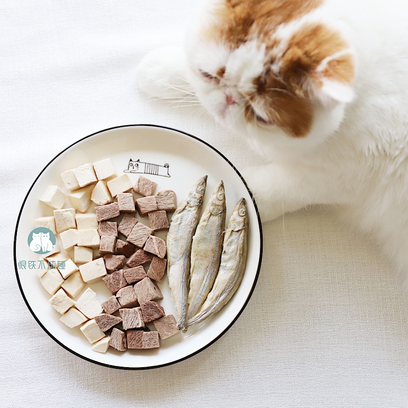 Hate iron can't be hammered Special custom freeze-dried zero additive pure meat freeze-dried cat and dog nutritional snacks to increase fat and hair gills