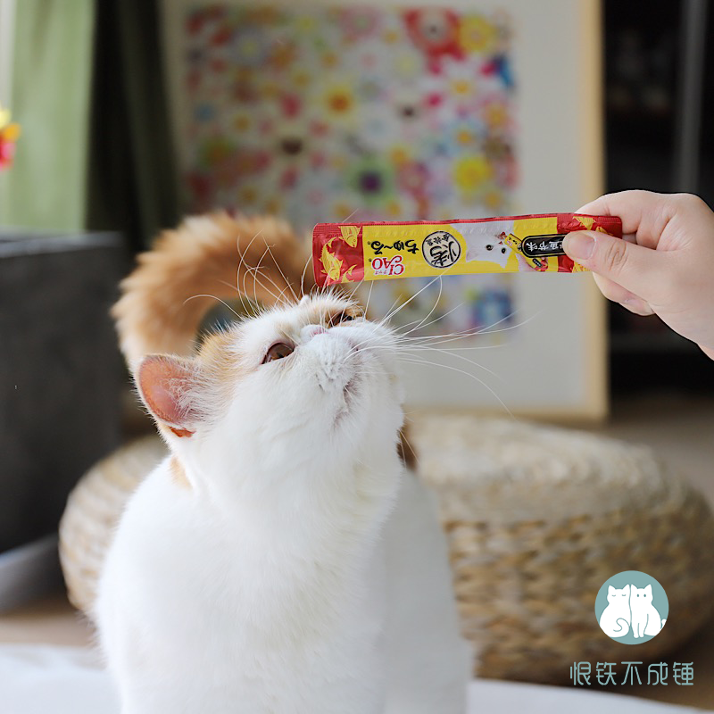 Hate iron can't be hammered Inabao ciaojiulu Miaohaocheng kitten milkshake wet food cat snacks 4 packs