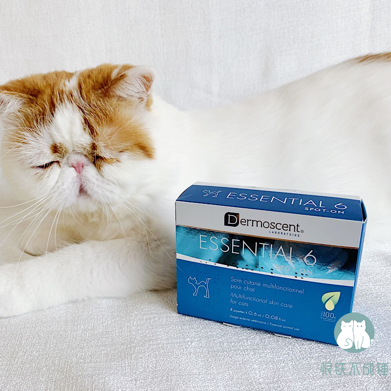 Hate iron can't be a hammer