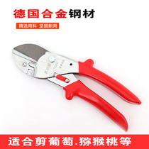 Taiwan Sagawa Tian labor-saving fruit tree shears Greening fruit branch shears Hand shears German garden Apple pruning shears