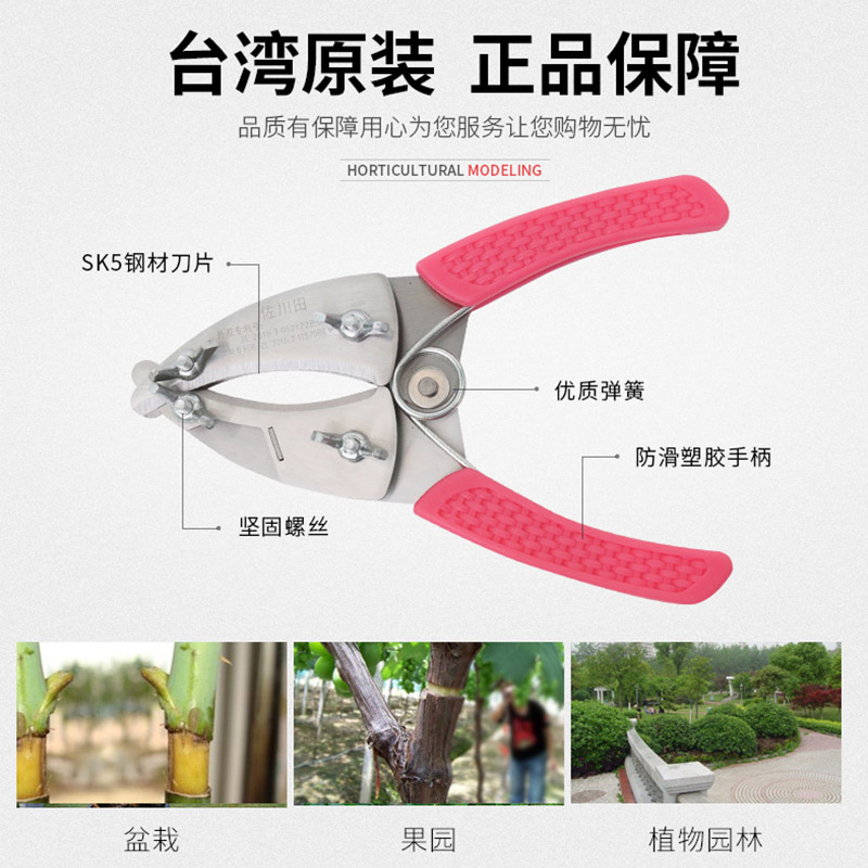 Zokugawa field 2nd generation 4-edged fruit tree ring cut and cut open A ring exfoliating grape lychee date tree peeling cutting and cutting tools