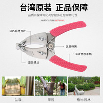 Zokugawa field 2nd generation 4-edged fruit tree ring cut and cut open A ring exfoliating grape lychee date tree peeling cutting and cutting tools