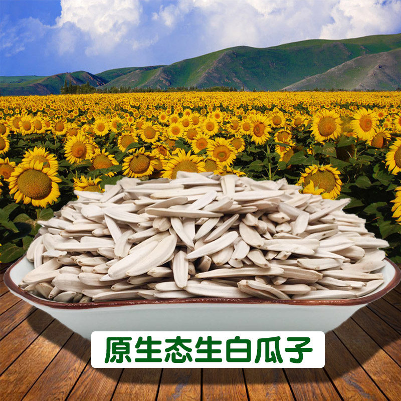 Xinjiang original raw white melon seeds toothpicks Horse teeth raw melon seeds sunflower seeds new wholesale and retail 2 catty 5 catty 10 catty
