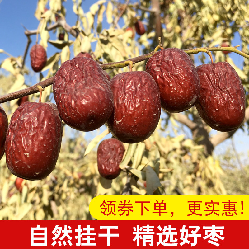 Pat 4 sent 1 catty of family breed Xinjiang grey date red date red date zero food special grade Jooqiang grey date hanging dry unwashed original date 500g