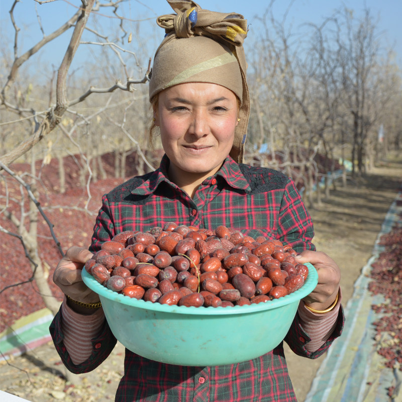 (Lower single sent date Zaozi W2) Zhengzong Qiang grey date Xinjiang special red date secondary small red date 500g