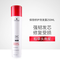 Schwarzkor Black Head Baoli Strong Repair Shampoo Repair Dyeing Damaged Hair Shampoo