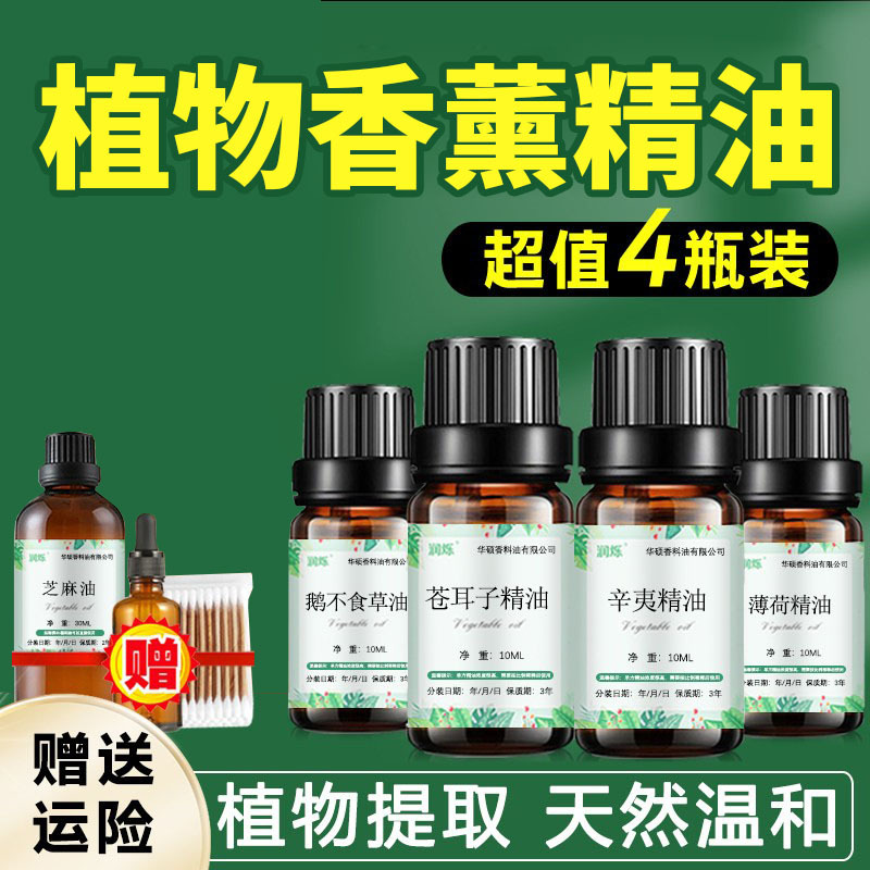 Nose Essential Oil, Xanthium Seed Essential Oil, Magnolia Officinalis Essential Oil, Peppermint Essential Oil, Euphorbia Essential Oil Combination, Olfactory Training Essential Oil