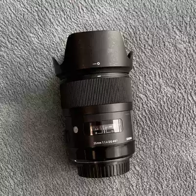 Horse 35 1 4 Art bayonet hood can be inverted buckle domestic matted horse ART 35 1 4