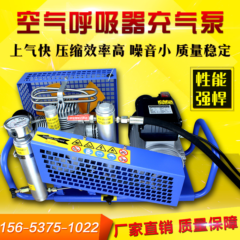 DIVING GAS CYLINDER FIRE AIR Suction Machine 30MPa High Pressure Air Compressor Gas Cylinder Cheer Air