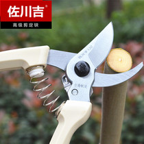 Taiwan imported Sagawa Yoshiyoshi 130 gardening scissors pruning shears Fruit tree shears pruning shears Bonsai shears thick branch shears