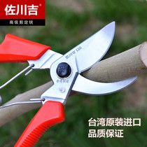 Taiwan imported Sagawa Yoshiyoshi 120 scissors pruning shears pruning shears garden tools gardening scissors trimming shears thick branch shears