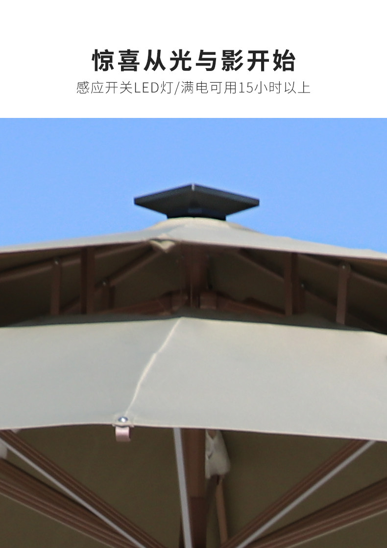 Баухиния павильон римский зонтик подробности_16.jpg