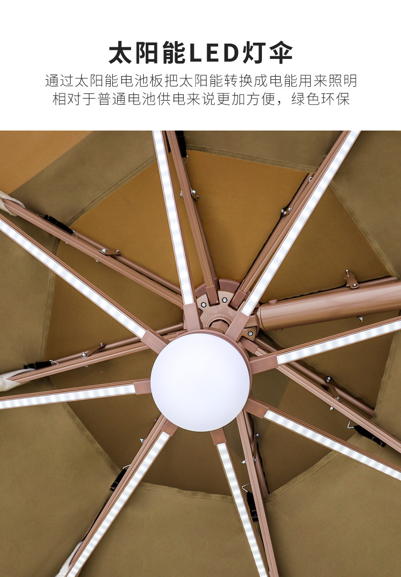 Баухиния павильон римский зонтик подробности_18.jpg