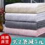 Giường dày cotton bông đơn Simmons nệm bọc chăn bông phủ chăn bảo vệ che bụi phủ giường phủ bông chống trượt 	ga giường bo chun