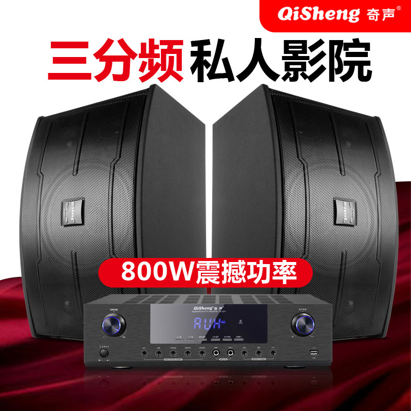 Qisheng K16 Audio Home Ktv Theater-Style Living Room Karaoke Set Conference Karaoke Tv Singing Machine Combo