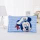 Bộ phim hoạt hình trẻ em gối bông mẫu giáo cotton 30 * 50 cm cho bé tiểu học Bộ gối 40x60