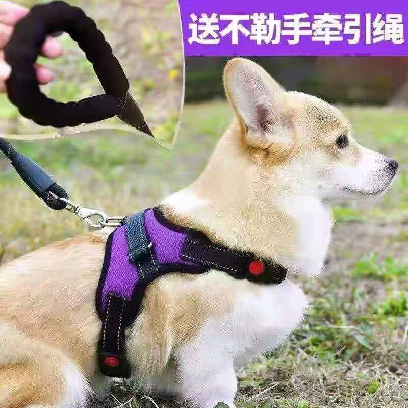 Dog walking dog traction rope chest holding baby bag heart-type pet chain anti-bite Teddy method Corgi small and medium-sized dogs