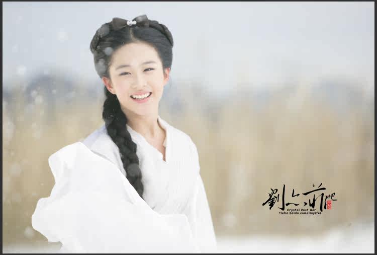 Extension cheveux - Chignon - Ref 239624 Image 14