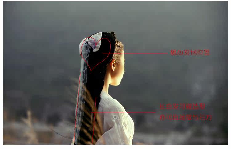 Extension cheveux - Chignon - Ref 239624 Image 20