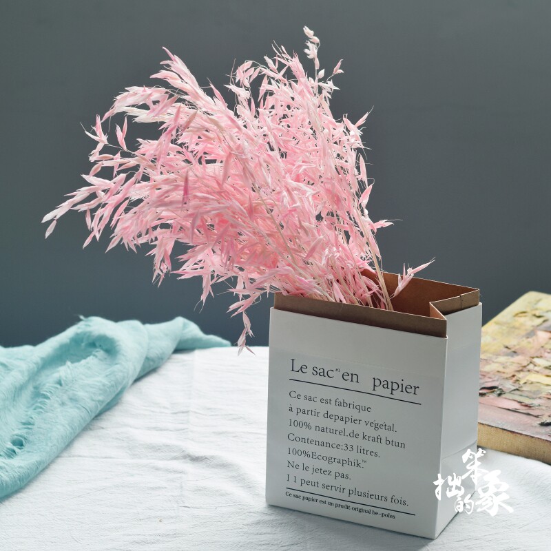 Wild oat dry flower natural highland barley pastoral natural wind hay mix and match homestay decoration clumsy like Nordic ins