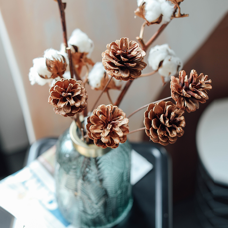 Pine Nuts Dry Flowers Real Flowers Original Eco Small Dry Flowers Retro Living Room Pendulum Pieces Dinning Flowers Decoration Flowers Photo Background Yoncine Flowers