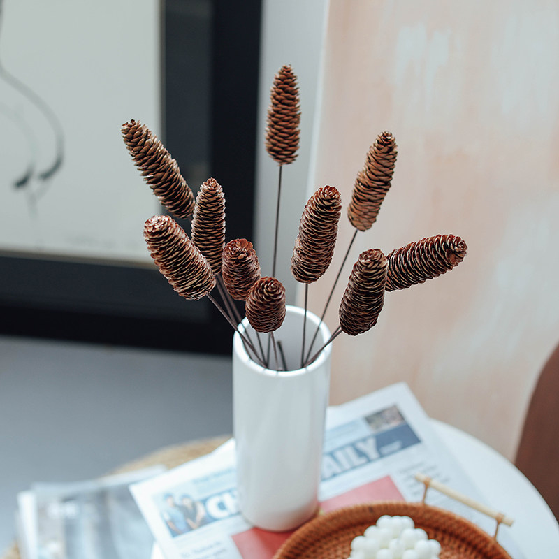 Cloud Cedar Pine fruit Forest Department natural drying flowers Yongsheng Flowers Dried Pine Nuts Art Home Shooting Props Pine Fruit Decorations