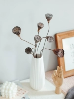 Лотос Puff Dry Flowers zen Цветок дзен качание маленький цветок свежий свежий мини -ресторанный батон